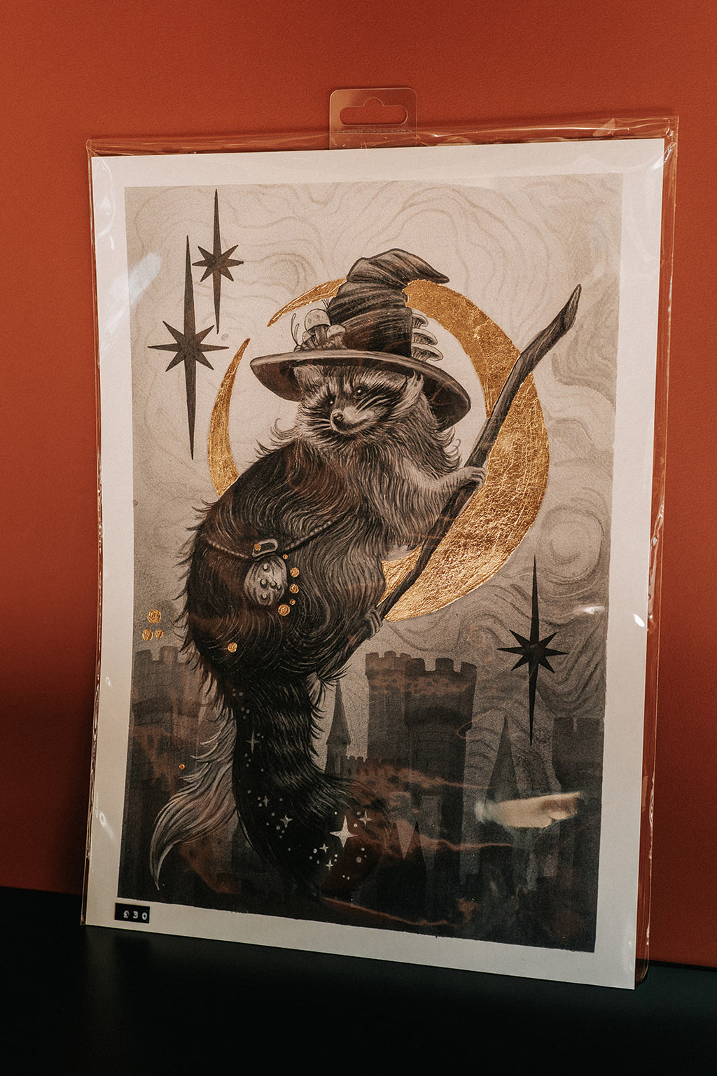 Racoon With Dabloons Gold Gilded Art Print