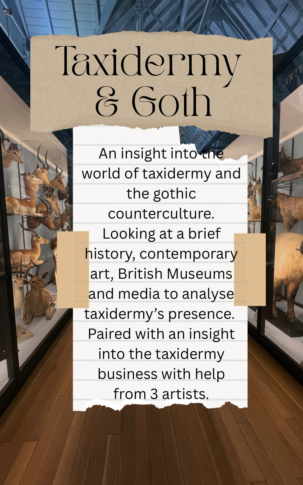 Art & Aesthetic Values in 21st Century Counterculture: Taxidermy & Goth