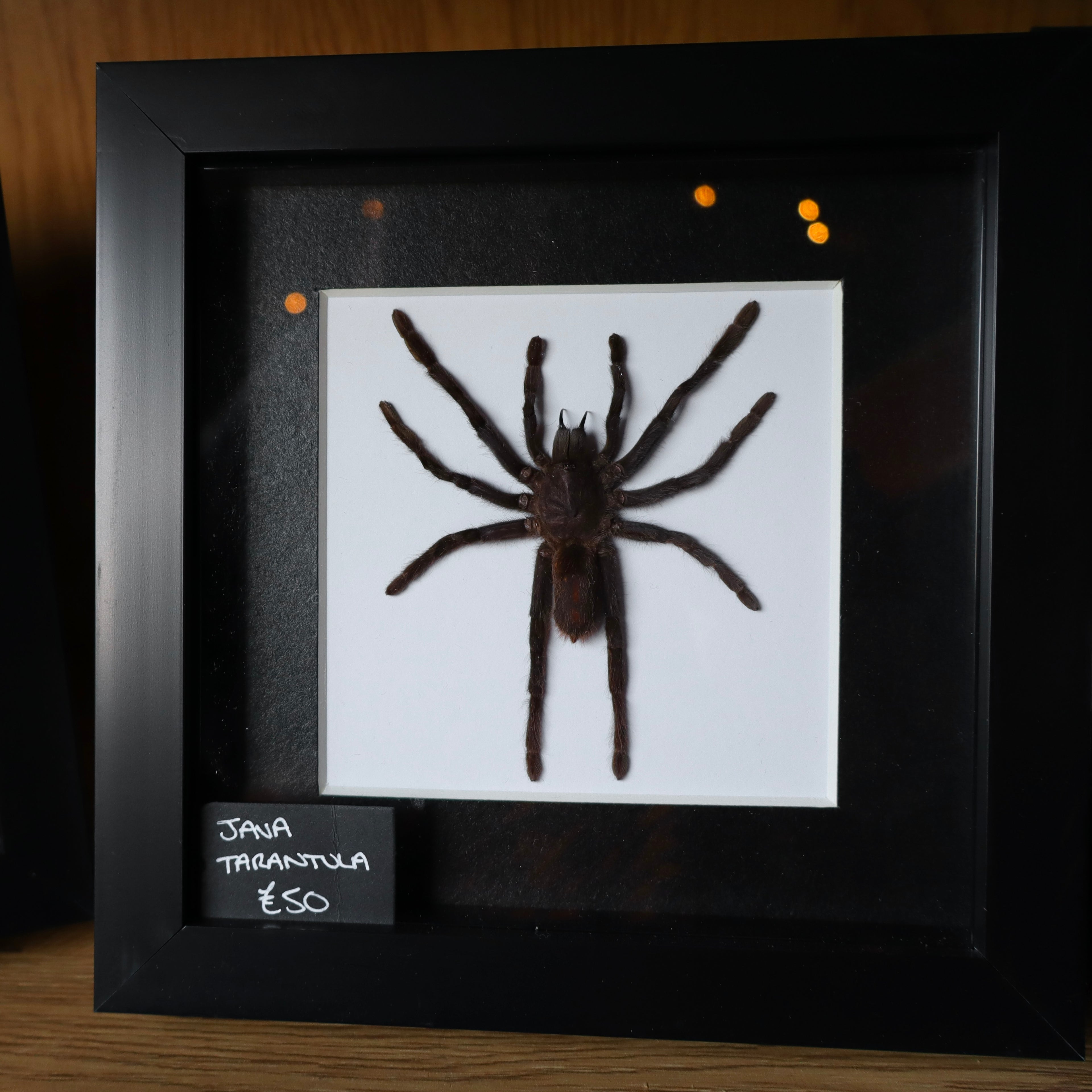 Tarantula