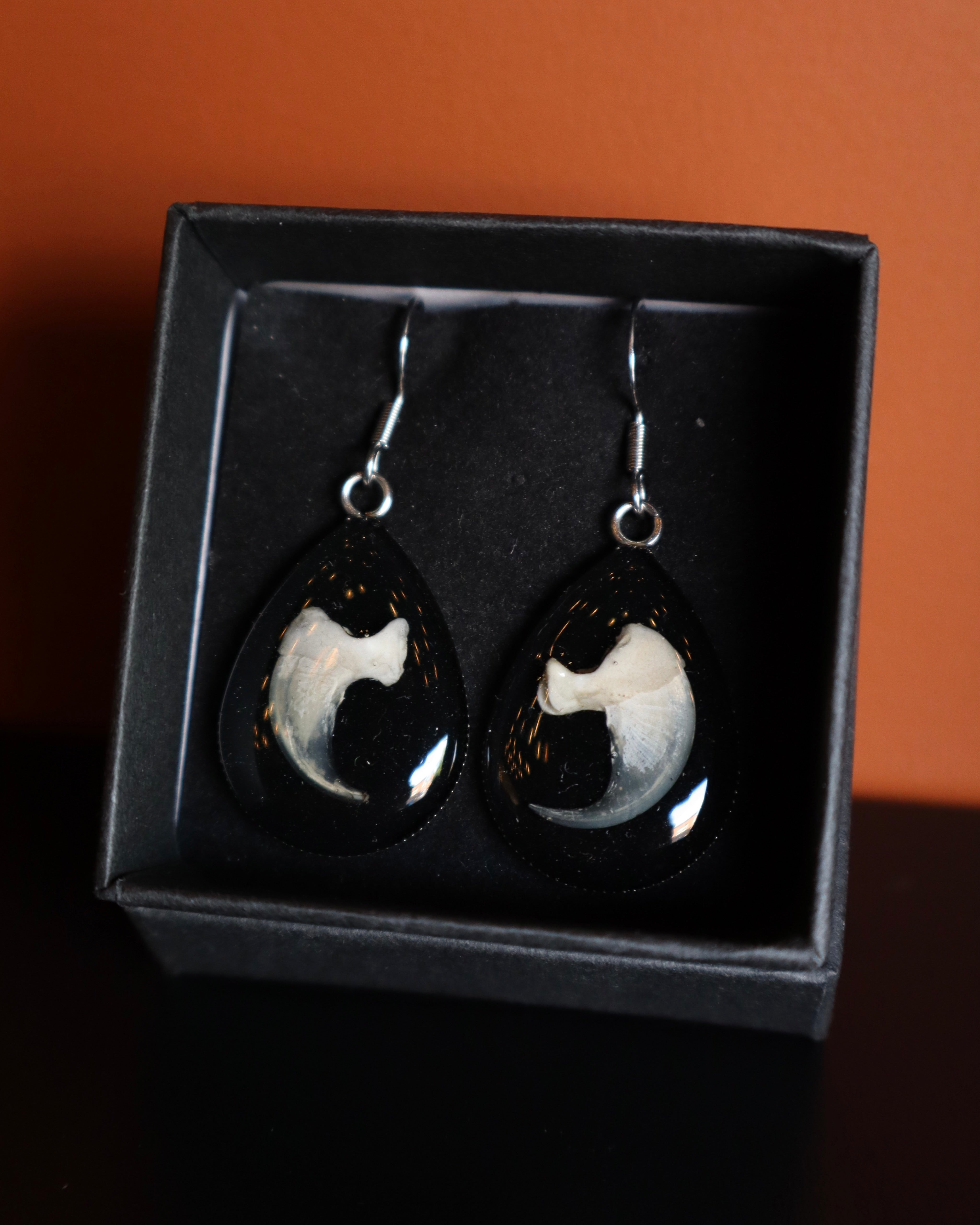 Cat Claw Steel Earrings