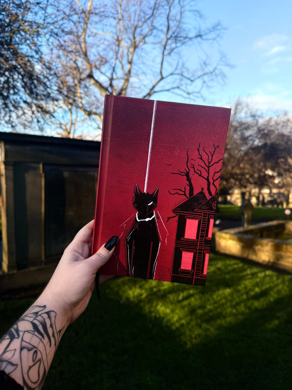 Edgar Allan Poe: The Illustrated Anthology, Volume 1 Hardback Book