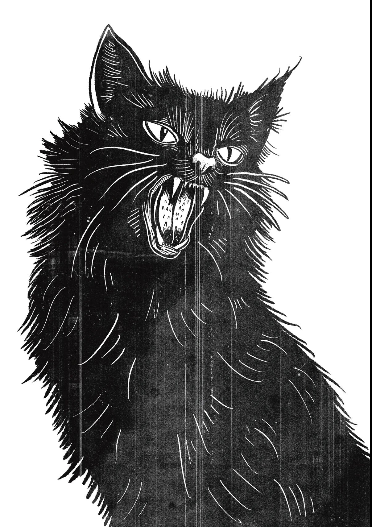 Black Cat Art Print