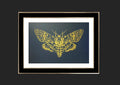 Moth Foiled Art Print