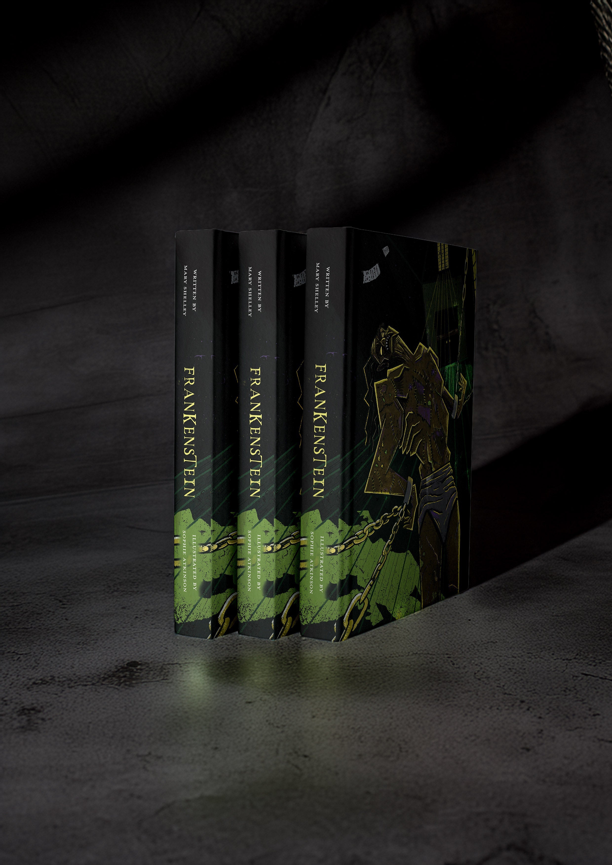 Frankenstein: Illustrated Hardback Book