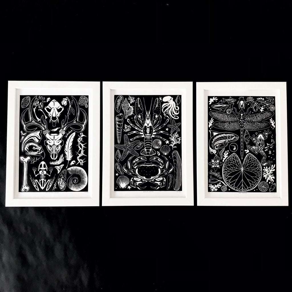 Shoreline, Pond & Decay Collection A4 Lino Print
