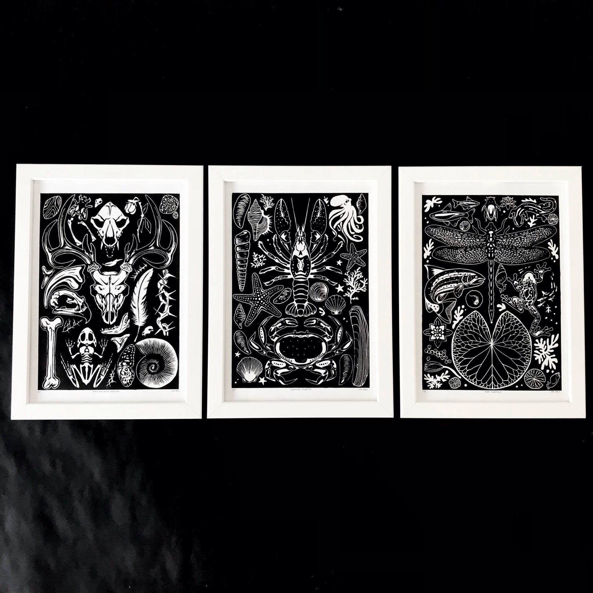 Shoreline, Pond & Decay Collection A4 Lino Print